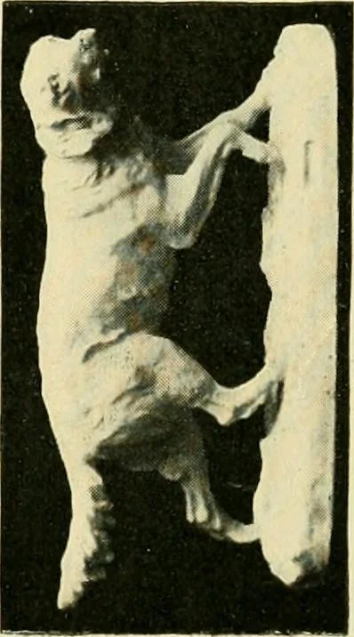 An illustration from Catalogue of A. Da Prato and Co. : importers and manufacturers of plaster cast reproductions from antique, medieval, and modern sculpture : subjects of every description for art schools : edition of 1900., 1900, leaf 68