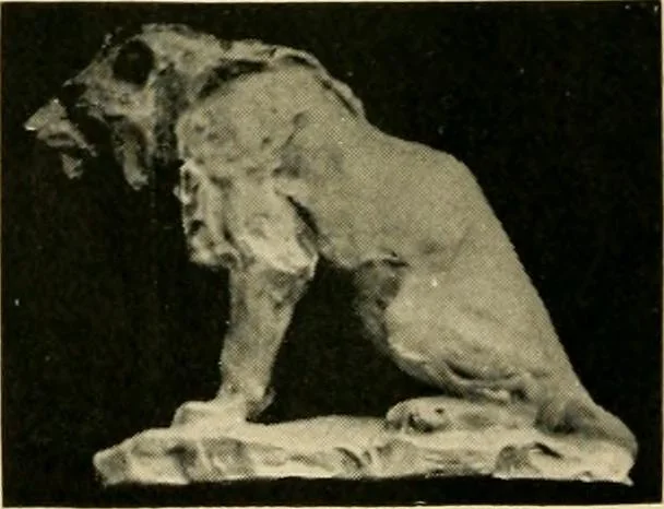 An illustration from Catalogue of A. Da Prato and Co. : importers and manufacturers of plaster cast reproductions from antique, medieval, and modern sculpture : subjects of every description for art schools : edition of 1900., 1900, leaf 69