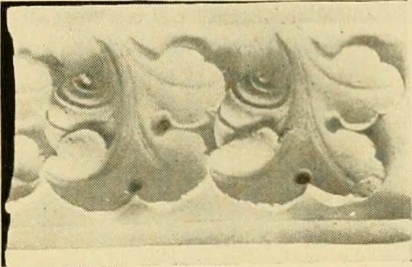 An illustration from Catalogue of A. Da Prato and Co. : importers and manufacturers of plaster cast reproductions from antique, medieval, and modern sculpture : subjects of every description for art schools : edition of 1900., 1900, leaf 70