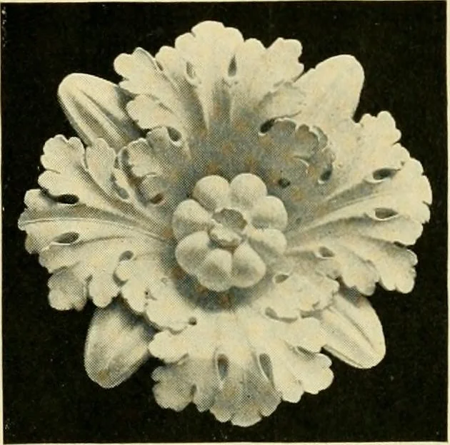 An illustration from Catalogue of A. Da Prato and Co. : importers and manufacturers of plaster cast reproductions from antique, medieval, and modern sculpture : subjects of every description for art schools : edition of 1900., 1900, leaf 70