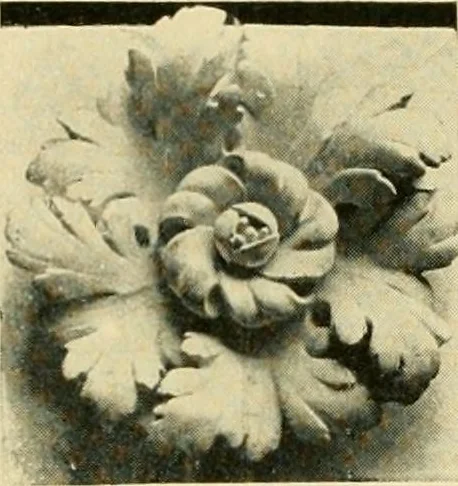An illustration from Catalogue of A. Da Prato and Co. : importers and manufacturers of plaster cast reproductions from antique, medieval, and modern sculpture : subjects of every description for art schools : edition of 1900., 1900, leaf 70