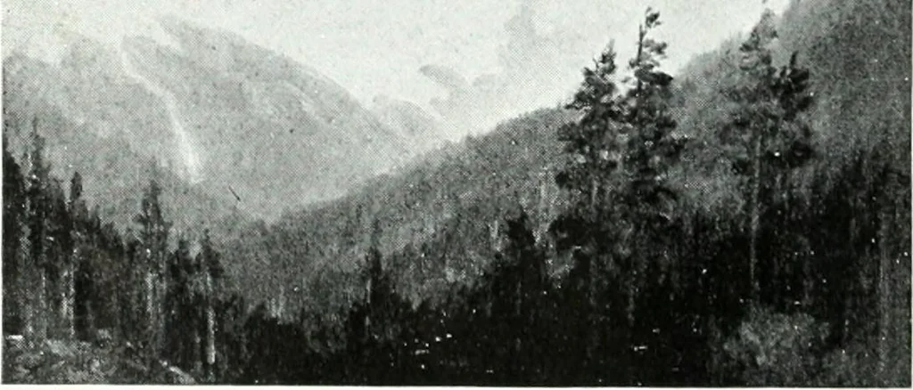 An illustration from Catalogue of the Fiftieth annual exhibition of the Ontario Society of Artists, 1922, leaf 29