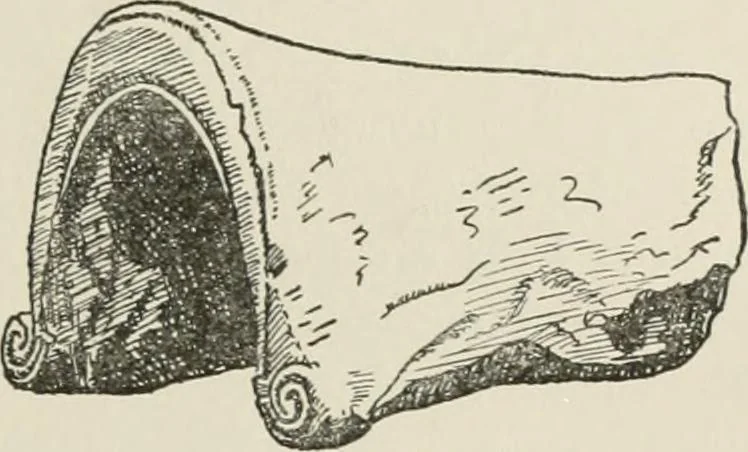 An illustration from Catalogue of Arretine pottery, 1916, leaf 28