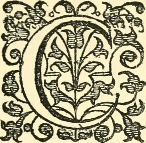 An illustration from A catalogue of books printed at or relating to the University, town & county of Cambridge, from 1521 to 1893, with bibliographical and biographical notes, 1894, leaf 20