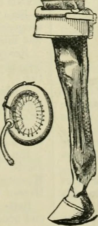 An illustration from Catalogue of the British Section : containing a list of the exhibitors of the United Kingdom and its colonies, and the objects which they exhibit : in English, French, German, and Italian : with statistical introductions and an appendix in which many of the objects exhibited are more fully described, 1867, leaf 1086