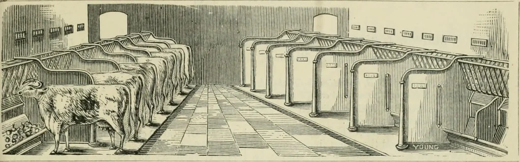 An illustration from Catalogue of the British Section : containing a list of the exhibitors of the United Kingdom and its colonies, and the objects which they exhibit : in English, French, German, and Italian : with statistical introductions and an appendix in which many of the objects exhibited are more fully described, 1867, leaf 1154