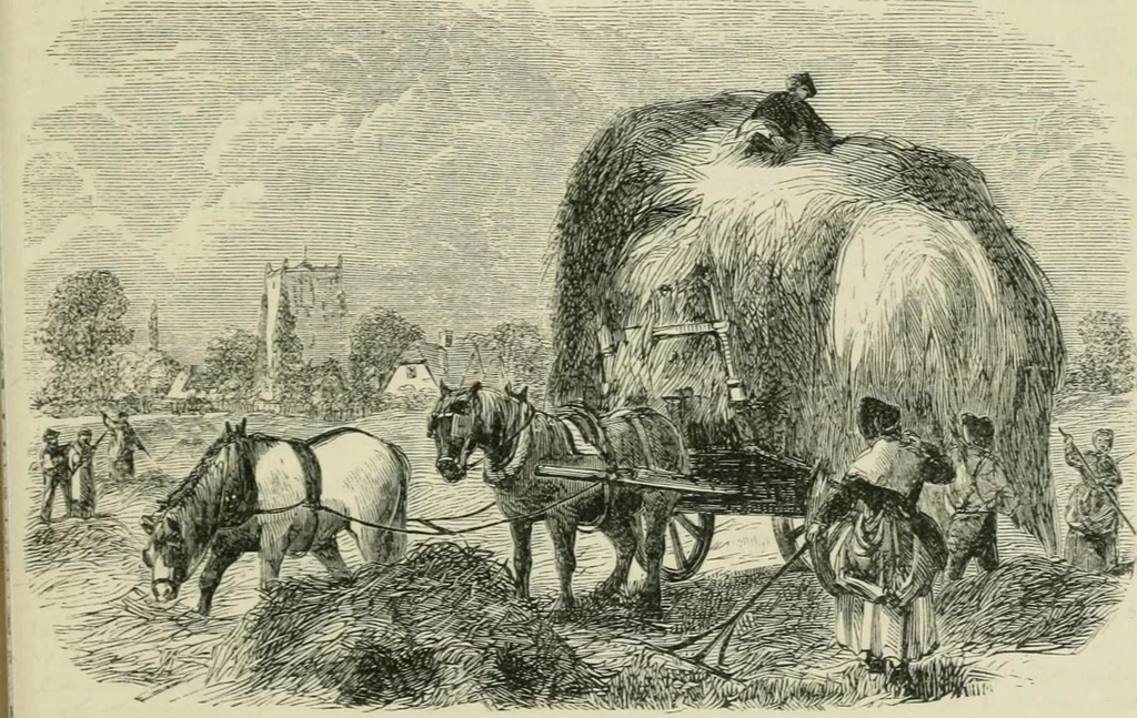 An illustration from Catalogue of the British Section : containing a list of the exhibitors of the United Kingdom and its colonies, and the objects which they exhibit : in English, French, German, and Italian : with statistical introductions and an appendix in which many of the objects exhibited are more fully described, 1867, leaf 1156