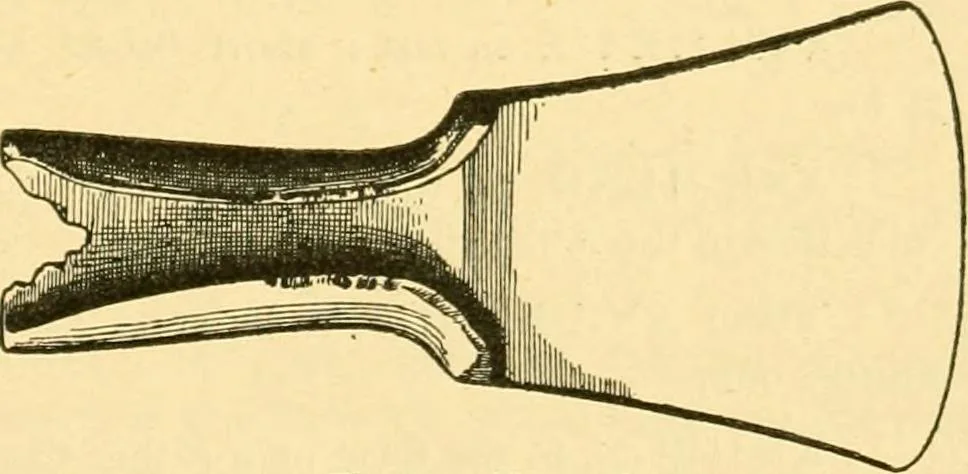 An illustration from Catalogue of the bronzes, Greek, Roman, and Etruscan, in the Department of Greek and Roman Antiquities, British Museum, 1899, leaf 428