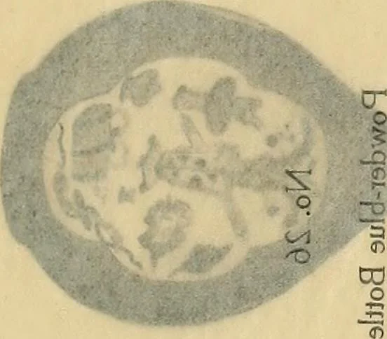 An illustration from A catalogue of Chinese porcelains collected by Mr. and Mrs. Charles P. Taft, Cincinnati, Ohio, with notes and illustrations, comp. and described by John Getz, 1904, leaf 110