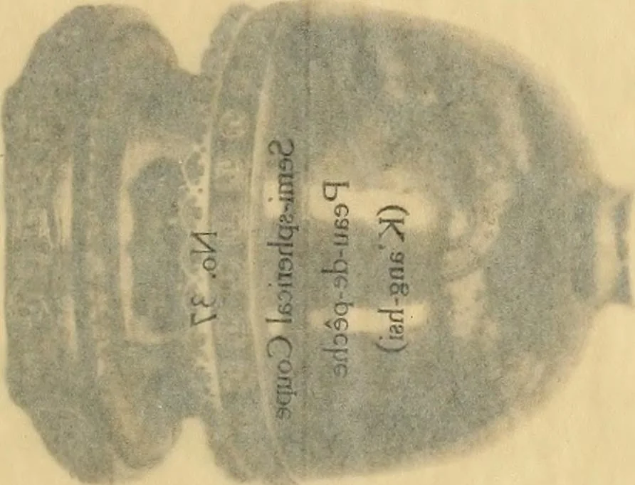 An illustration from A catalogue of Chinese porcelains collected by Mr. and Mrs. Charles P. Taft, Cincinnati, Ohio, with notes and illustrations, comp. and described by John Getz, 1904, leaf 140