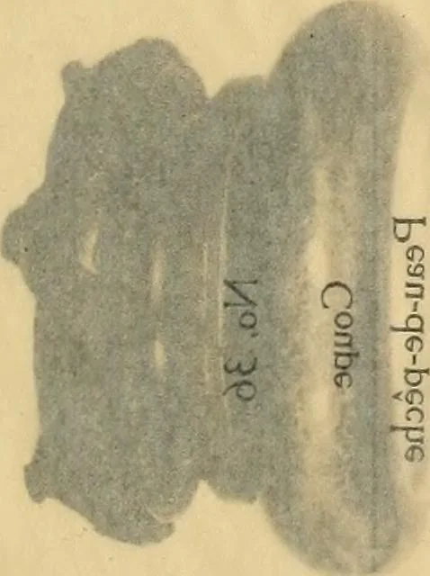 An illustration from A catalogue of Chinese porcelains collected by Mr. and Mrs. Charles P. Taft, Cincinnati, Ohio, with notes and illustrations, comp. and described by John Getz, 1904, leaf 140