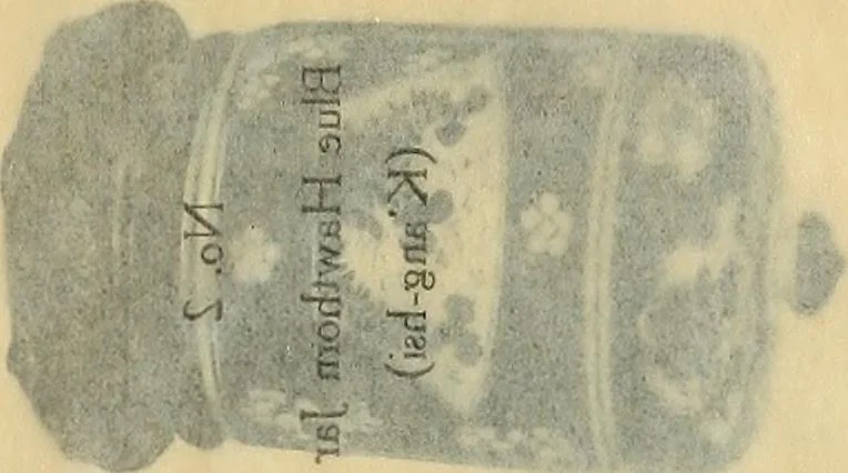 An illustration from A catalogue of Chinese porcelains collected by Mr. and Mrs. Charles P. Taft, Cincinnati, Ohio, with notes and illustrations, comp. and described by John Getz, 1904, leaf 50