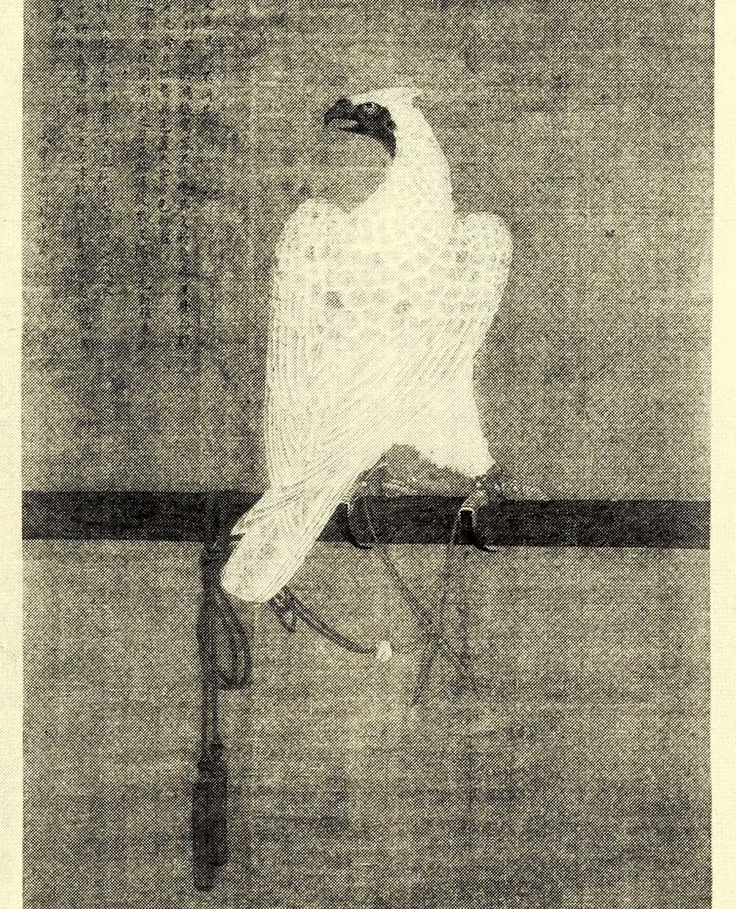 An illustration from Catalogue of Chinese Paintings, Tang and Sung Potteries, Rare Porcelains, Tapestries and other Works of Art : Collected by Thomas R. Abbott, a Permanent Resident of Peking brought to America by Frederick Moore, 1917, leaf 51
