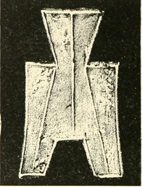 An illustration from Catalogue of Chinese coins from the VIIth cent. B. C., to A. D. 621. including the series in the Britis Museum, 1892, leaf 191