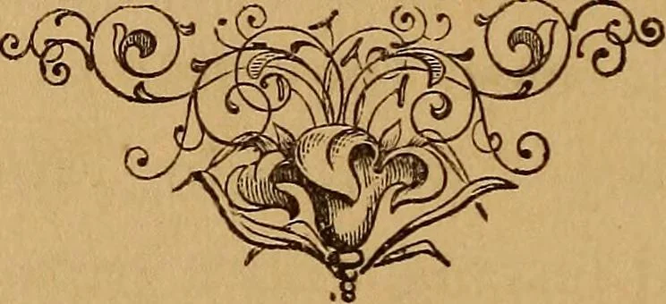 An illustration from Catalogue of coins, medals and tokens, mostly American, 1879, leaf 11