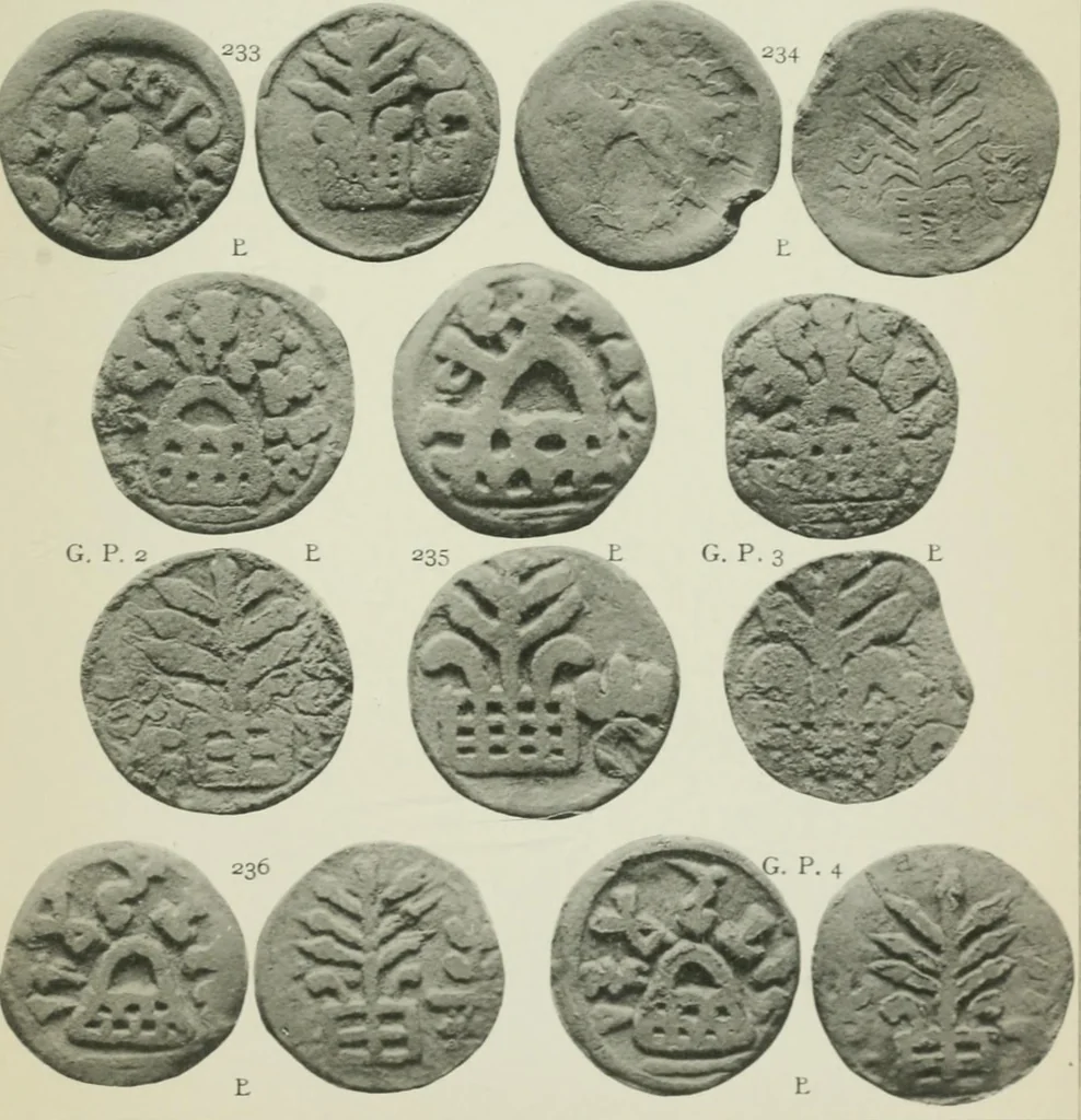 An illustration from Catalogue of the coins of the Andhra dynasty, the Western Ksatrapas, the Traikutaka dynasty, and the "Bodhi" dynasty, 1908, leaf 496