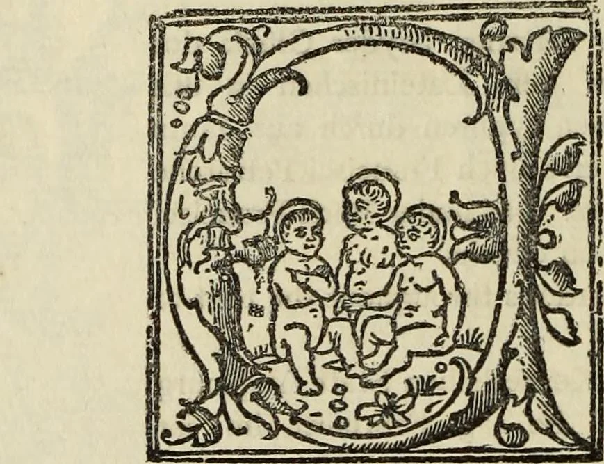 An illustration from Catalogue of a collection of engravings, etchings, and woodcuts, 1879, leaf 215