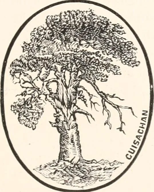 An illustration from A catalogue of a collection of plaques, medallions, vases, figures, &c., in coloured jasper and basalte :, 1901, leaf 86