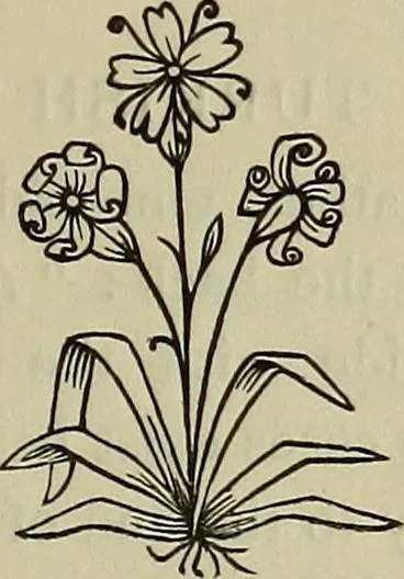 An illustration from Catalogue of a collection of old embroideries of the Greek islands and Turkey, 1914, leaf 82