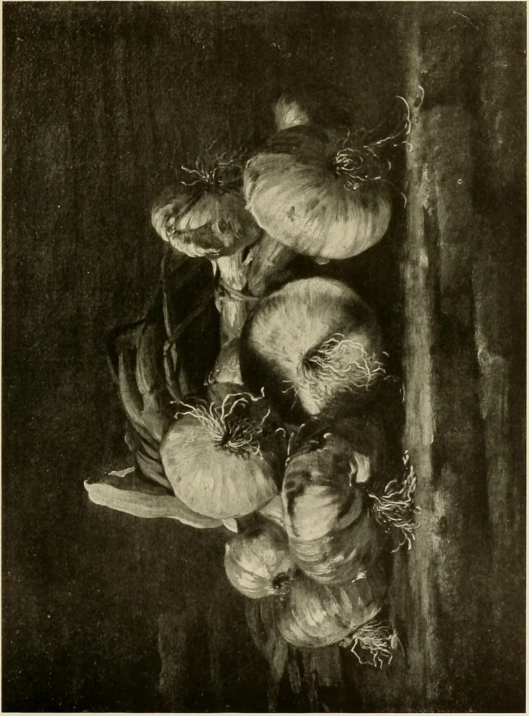 An illustration from Catalogue of a collection of paintings and some art objects .., 1913, leaf 306