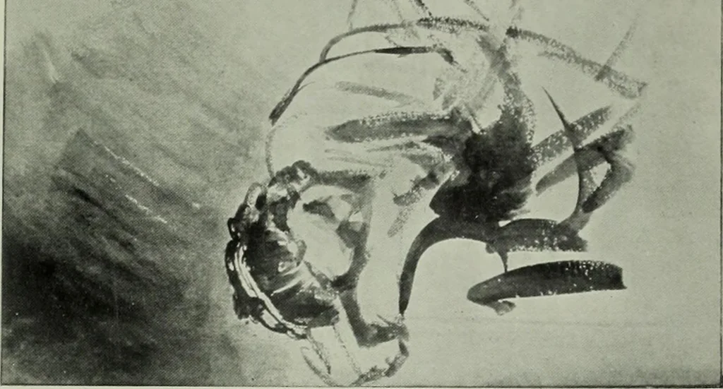 An illustration from Catalogue of drawings by Dutch and Flemish artists preserved in the Department of Prints and Drawings in the British Museum, 1915, leaf 140