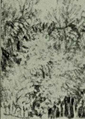An illustration from Catalogue of drawings by Dutch and Flemish artists preserved in the Department of Prints and Drawings in the British Museum, 1915, leaf 144