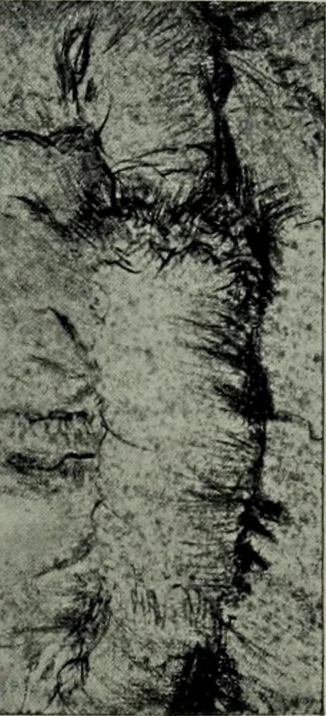 An illustration from Catalogue of drawings by Dutch and Flemish artists preserved in the Department of Prints and Drawings in the British Museum, 1915, leaf 198