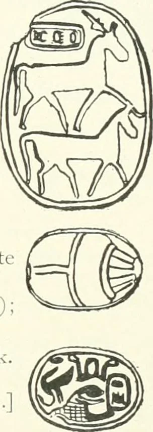 An illustration from Catalogue of Egyptian scarabs, etc., in the British museum, 1913, leaf 144