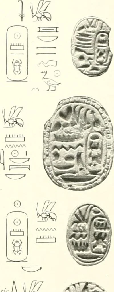 An illustration from Catalogue of Egyptian scarabs, etc., in the British museum, 1913, leaf 175