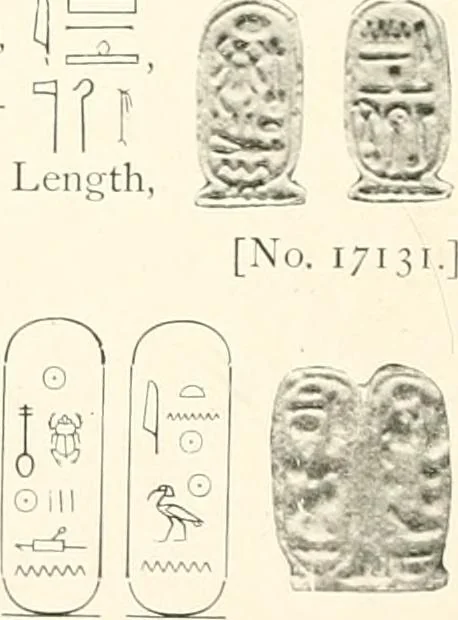An illustration from Catalogue of Egyptian scarabs, etc., in the British museum, 1913, leaf 239