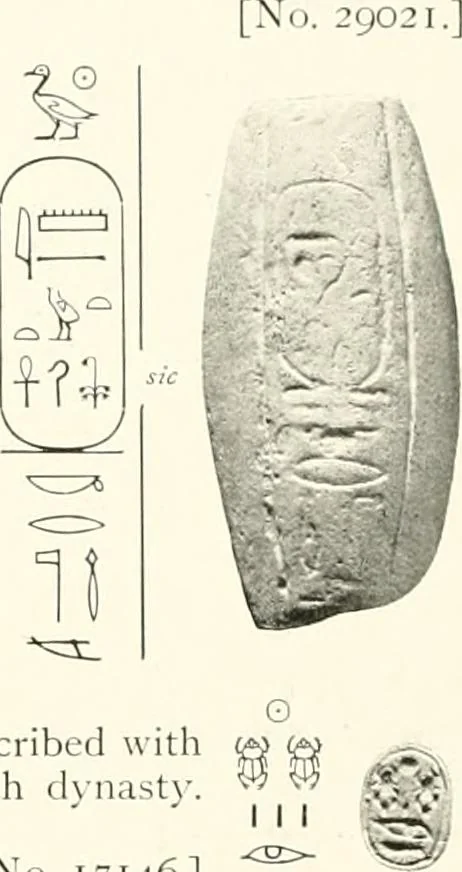 An illustration from Catalogue of Egyptian scarabs, etc., in the British museum, 1913, leaf 241