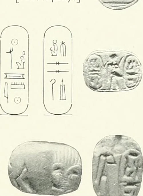 An illustration from Catalogue of Egyptian scarabs, etc., in the British museum, 1913, leaf 276