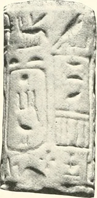 An illustration from Catalogue of Egyptian scarabs, etc., in the British museum, 1913, leaf 305