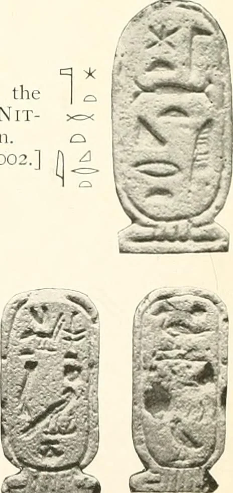 An illustration from Catalogue of Egyptian scarabs, etc., in the British museum, 1913, leaf 337