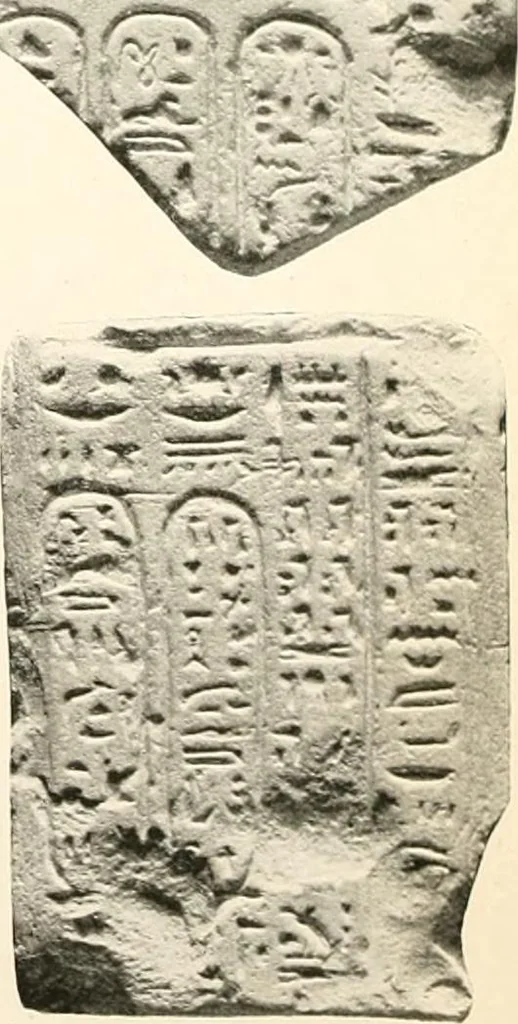 An illustration from Catalogue of Egyptian scarabs, etc., in the British museum, 1913, leaf 339