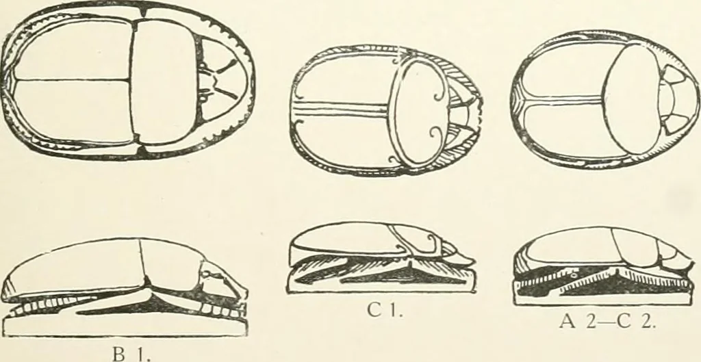 An illustration from Catalogue of Egyptian scarabs, etc., in the British museum, 1913, leaf 36