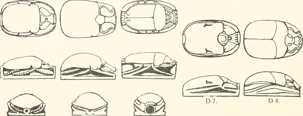 An illustration from Catalogue of Egyptian scarabs, etc., in the British museum, 1913, leaf 37