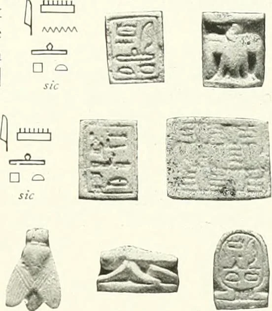 An illustration from Catalogue of Egyptian scarabs, etc., in the British museum, 1913, leaf 84