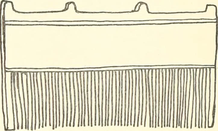 An illustration from A catalogue of the Egyptian antiquities in the possession of F.G. Hilton Price, 1897, leaf 169
