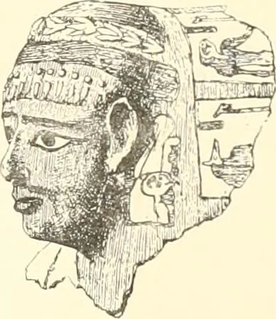 An illustration from A catalogue of the Egyptian antiquities in the possession of F.G. Hilton Price, 1897, leaf 18
