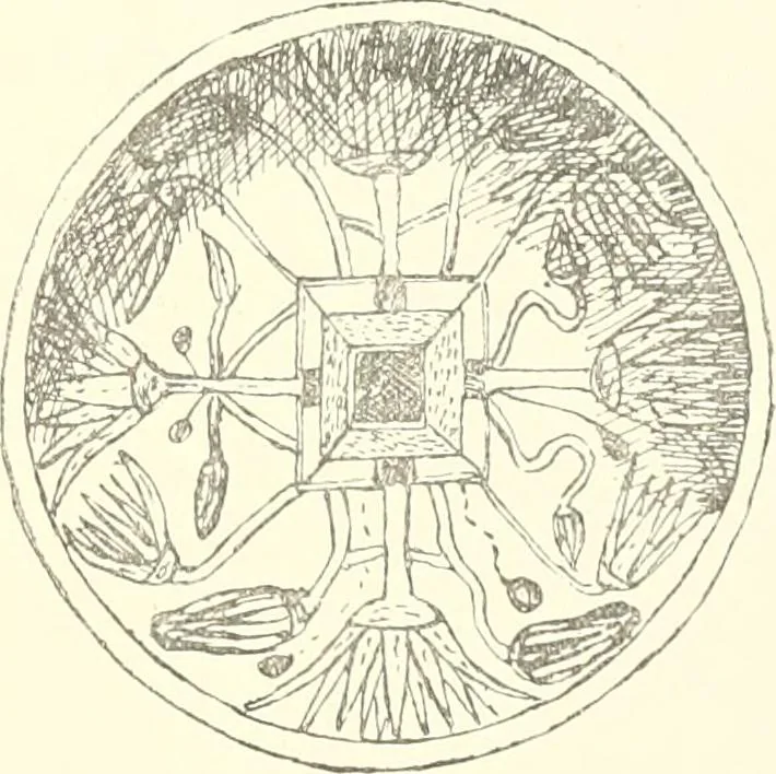 An illustration from A catalogue of the Egyptian antiquities in the possession of F.G. Hilton Price, 1897, leaf 182