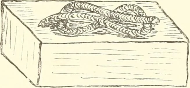 An illustration from A catalogue of the Egyptian antiquities in the possession of F.G. Hilton Price, 1897, leaf 262