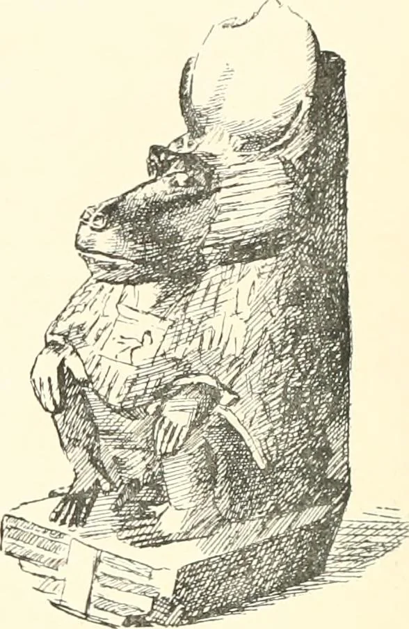 An illustration from A catalogue of the Egyptian antiquities in the possession of F.G. Hilton Price, 1897, leaf 351