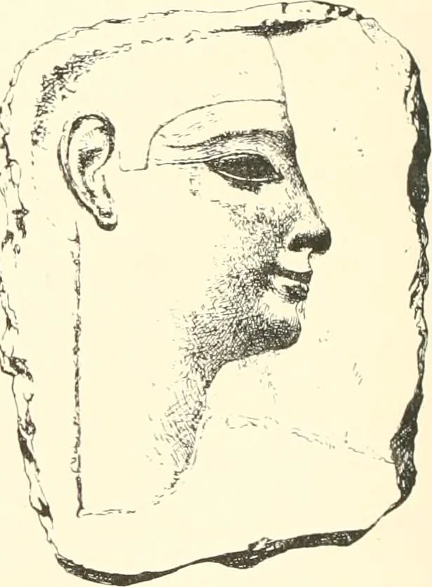 An illustration from A catalogue of the Egyptian antiquities in the possession of F.G. Hilton Price, 1897, leaf 369