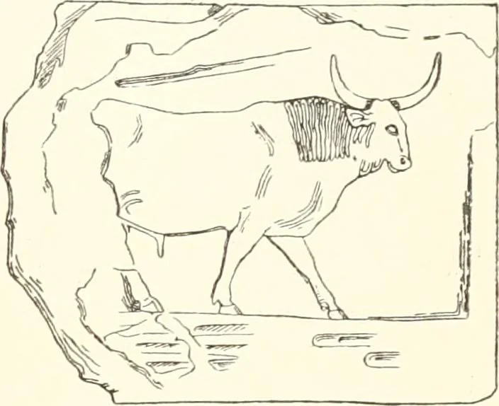 An illustration from A catalogue of the Egyptian antiquities in the possession of F.G. Hilton Price, 1897, leaf 370