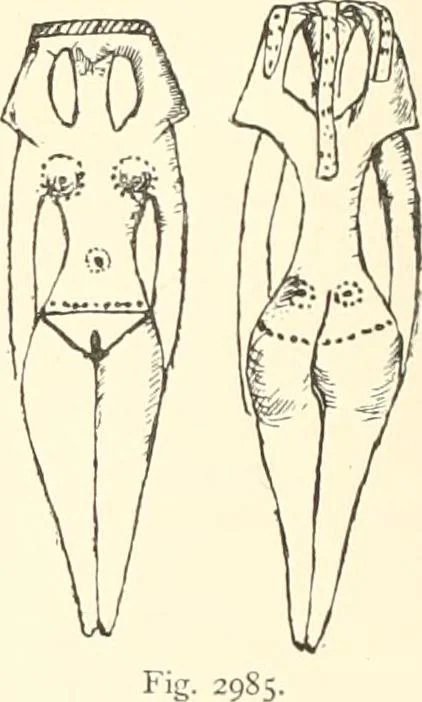 An illustration from A catalogue of the Egyptian antiquities in the possession of F.G. Hilton Price, 1897, leaf 389