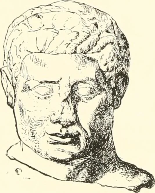 An illustration from A catalogue of the Egyptian antiquities in the possession of F.G. Hilton Price, 1897, leaf 407