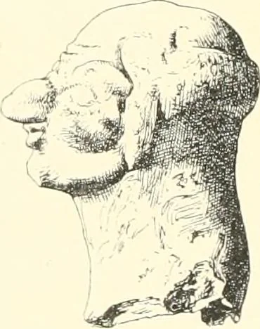 An illustration from A catalogue of the Egyptian antiquities in the possession of F.G. Hilton Price, 1897, leaf 429