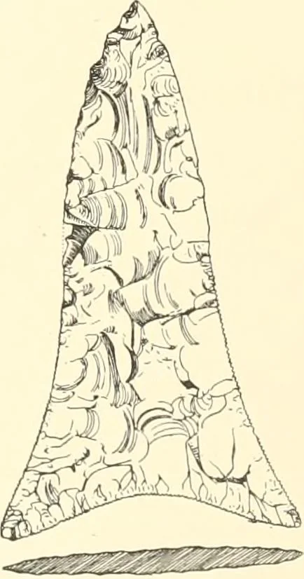 An illustration from A catalogue of the Egyptian antiquities in the possession of F.G. Hilton Price, 1897, leaf 504