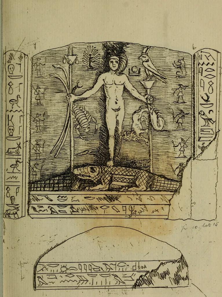 An illustration from A catalogue of the entire valuable museum of the late Matthew Duane, F.R. & A.S. ... containing the coins and medals : which, by order of the executors, will be sold by auction, by Mr. Gerard, at his house in Litchfield Street, St. Anne's, Soho, on Tuesday, the 3d of May, 1785, and the four following days .., 1785, leaf 20